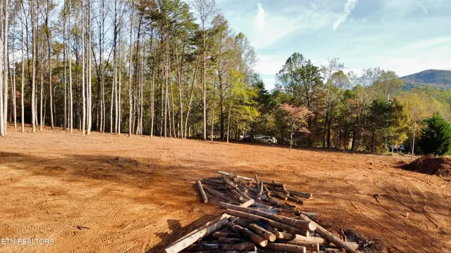 $90,000 | Lot 3 Peachie Way, Cosby, TN 37722