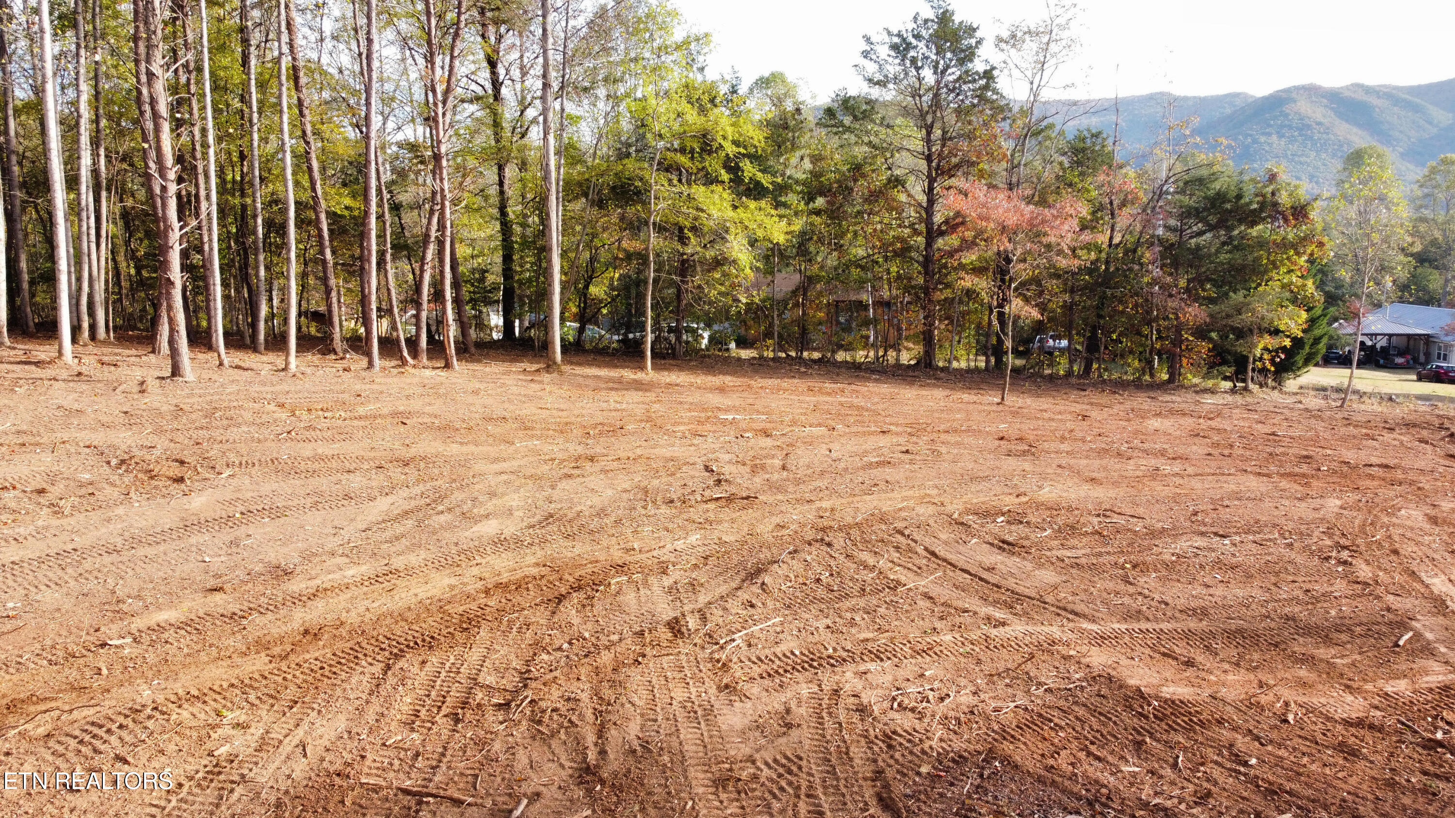 Lot 3 Peachie Way Cosby, TN 37722 - Photo 5 of 12 lot 3
