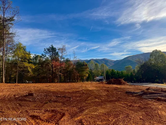 $90,000 | Lot 3 Peachie Way, Cosby, TN 37722