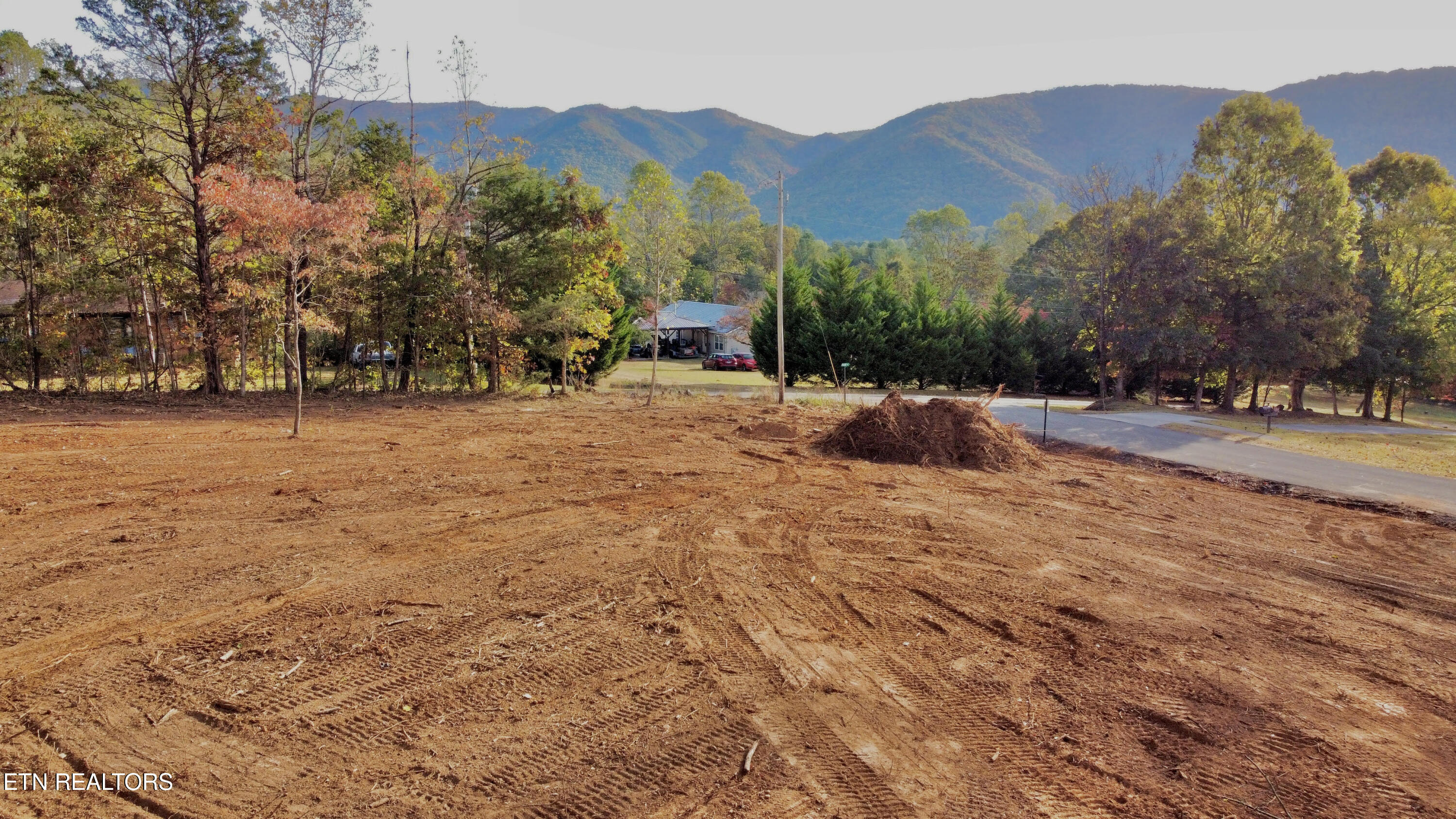 Lot 3 Peachie Way Cosby, TN 37722 - Photo 7 of 12 3&4