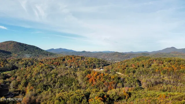 $90,000 | Lot 3 Peachie Way, Cosby, TN 37722