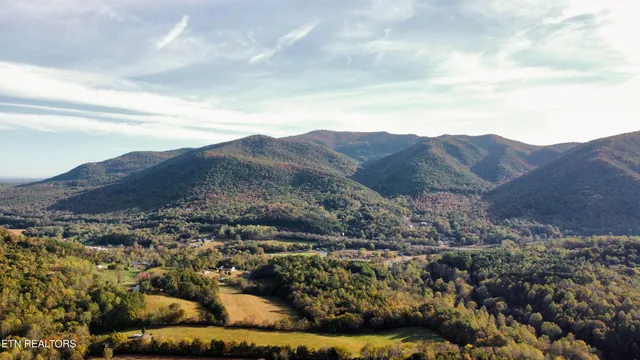 $90,000 | Lot 3 Peachie Way, Cosby, TN 37722