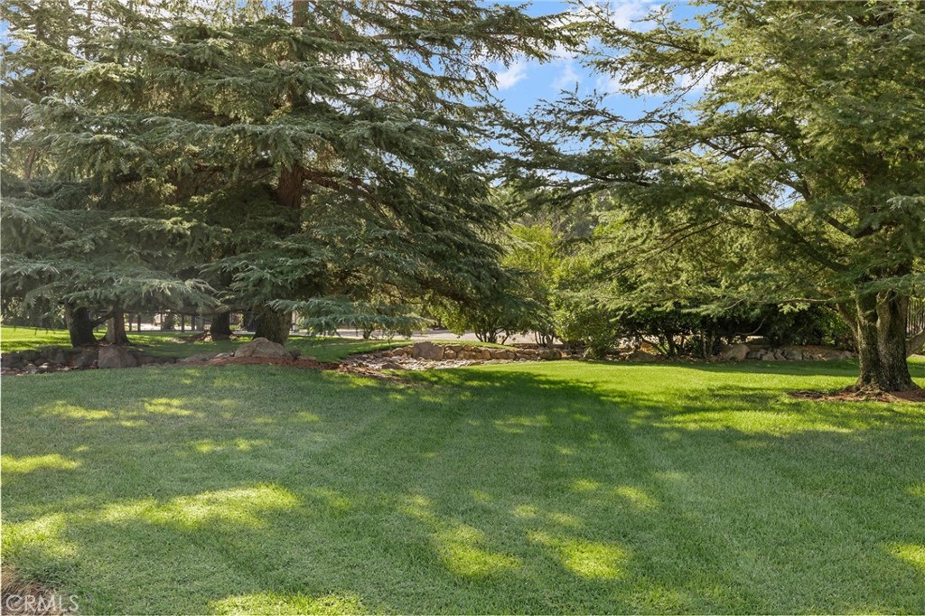 6357 County Road 48 Willows, CA 95988 - Photo 47 of 75 a view of yard with swimming pool and trees