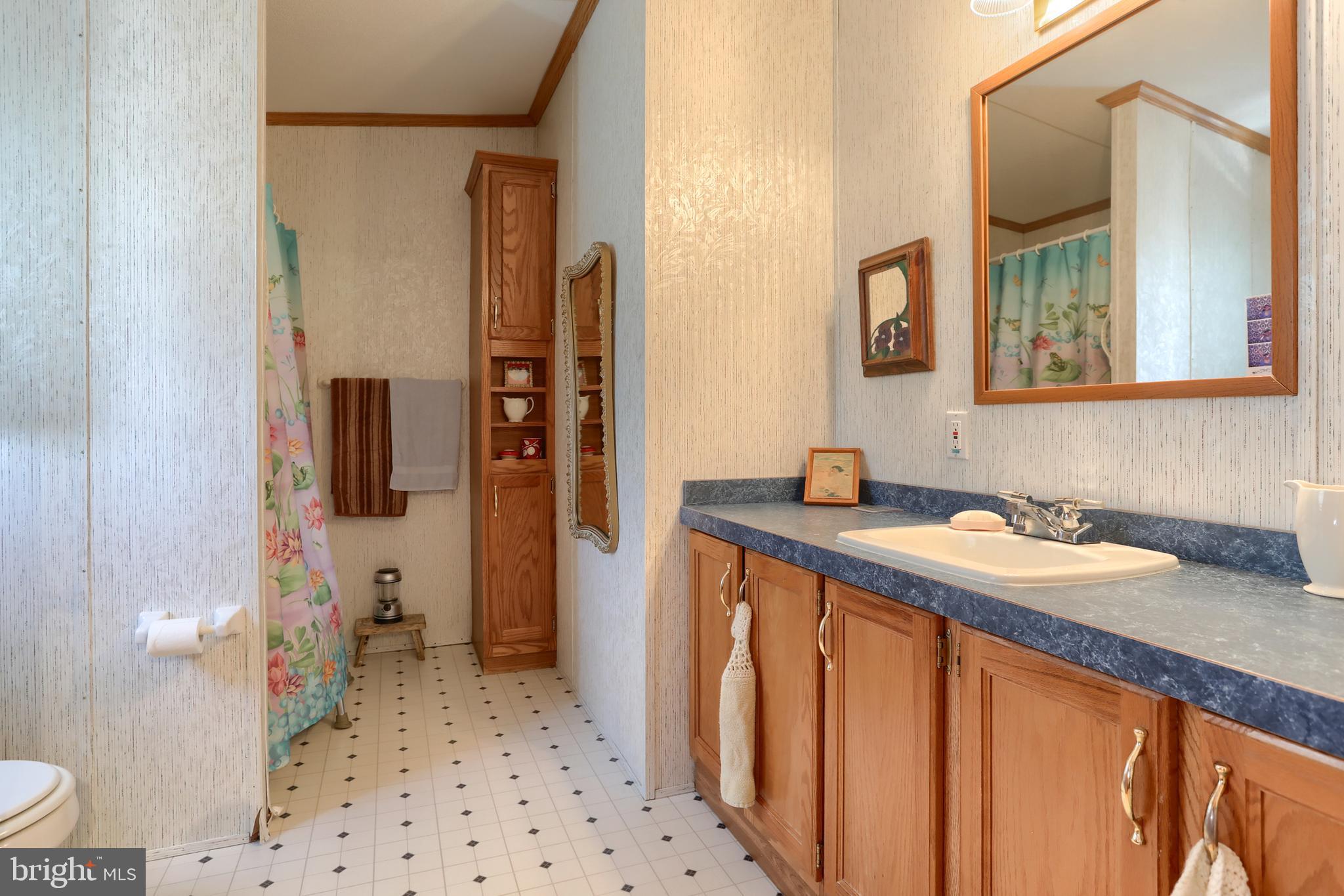 22 Elizabeth Avenue Lebanon, PA 17042 - Photo 19 of 28 a bathroom with a sink a toilet and mirror