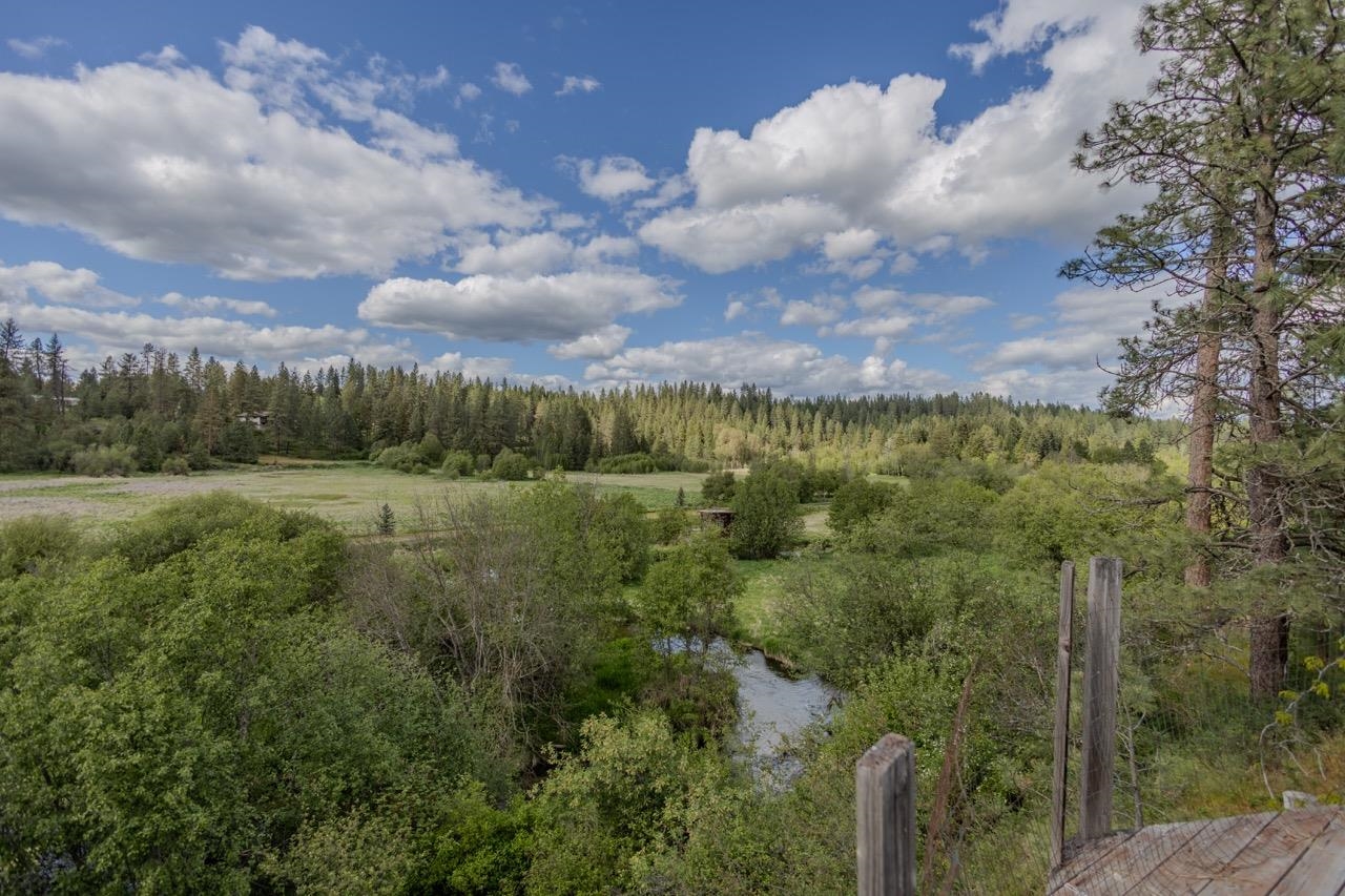 36019 North Milan Elk Road Chattaroy, WA 99003 - Photo 17 of 47