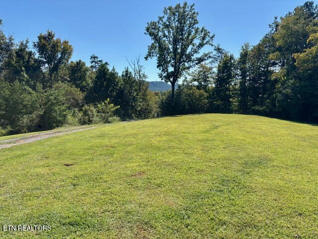 669 Choptack Road Rogersville, TN 37857 - Photo 15 of 39 IMG_3876 (1)