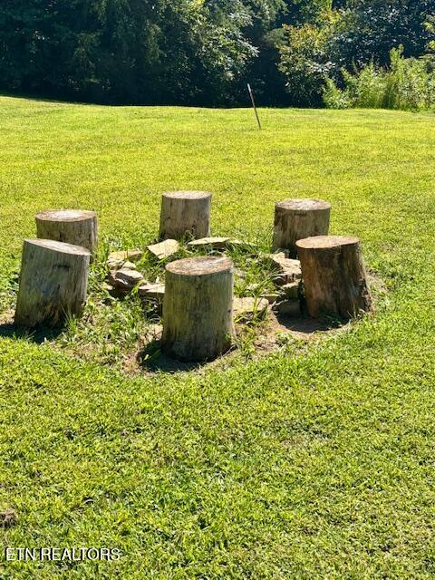 669 Choptack Road Rogersville, TN 37857 - Photo 16 of 39 IMG_3834