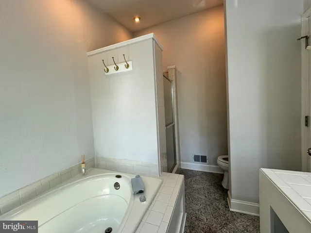 a bathroom with a bathtub and a toilet