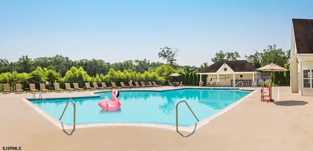 a view of swimming pool with a potted plants