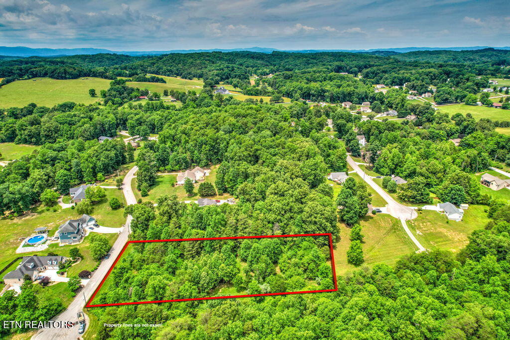 Stone Ridge Drive Andersonville, TN 37705 - Photo 7 of 19 86