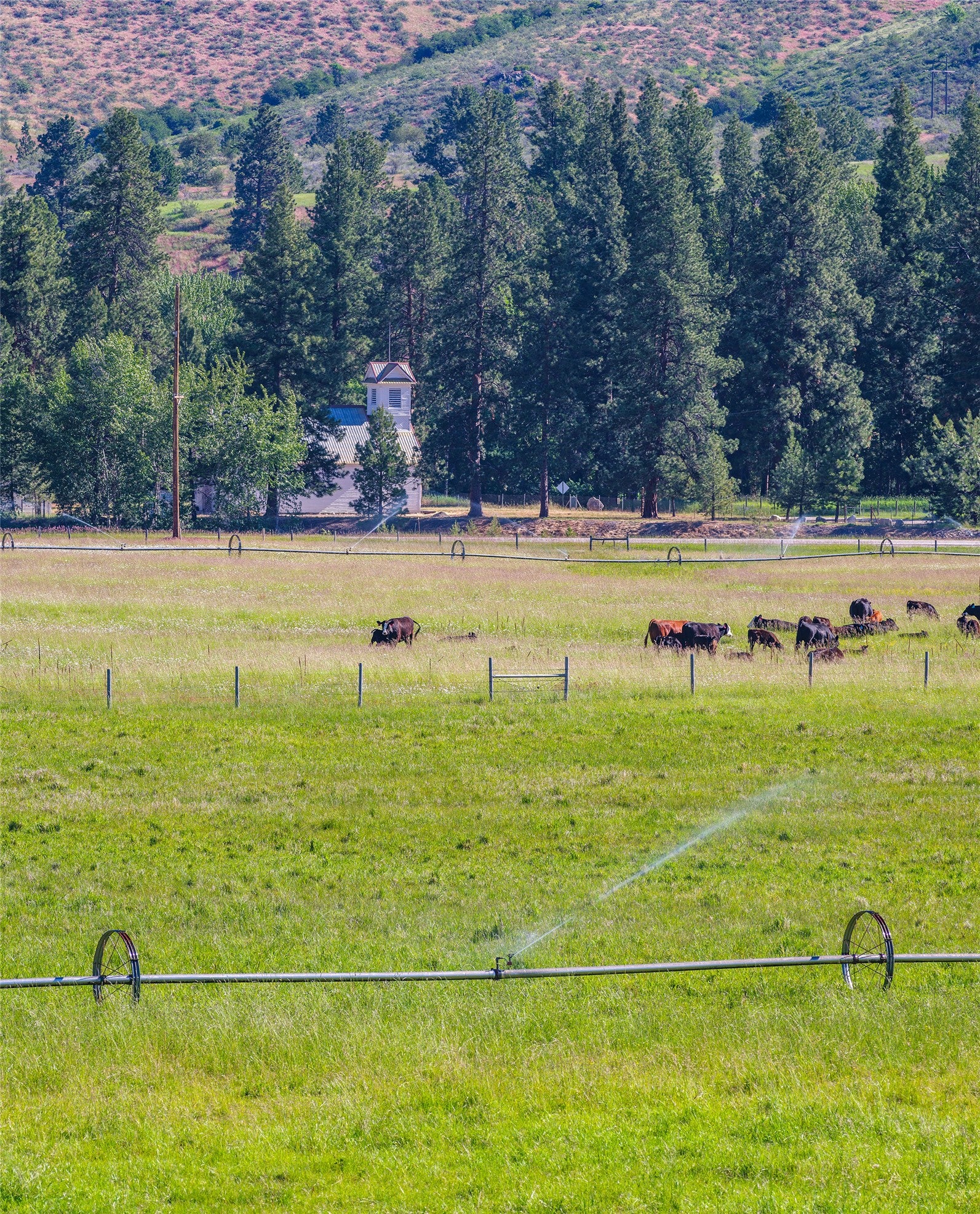 2519 Old Darby Road Darby, MT 59829 - Photo 25 of 48 Gallery Image 25