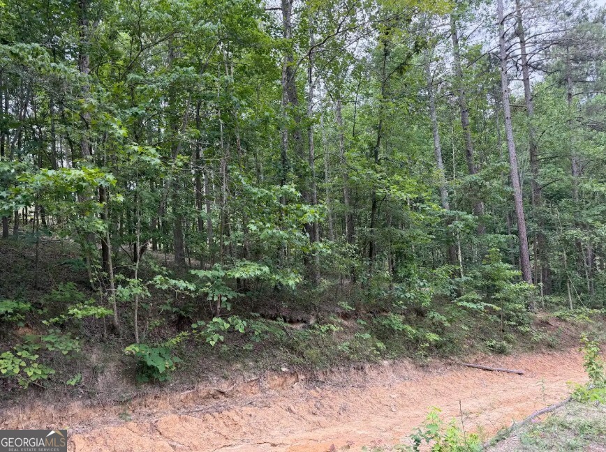 0 Mt Sinai Road, Unit LOT 1 Lula, GA 30554 - Photo 48 of 67