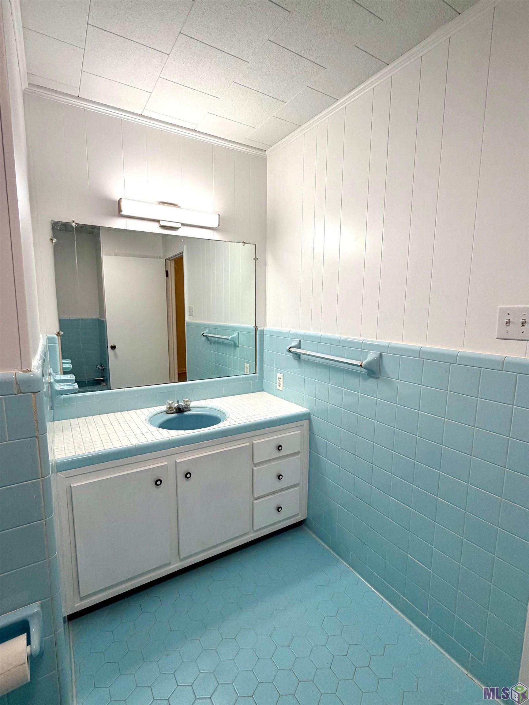 43063 Black Bayou Road Gonzales, LA 70737 - Photo 11 of 19