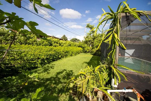a view of banana tree
