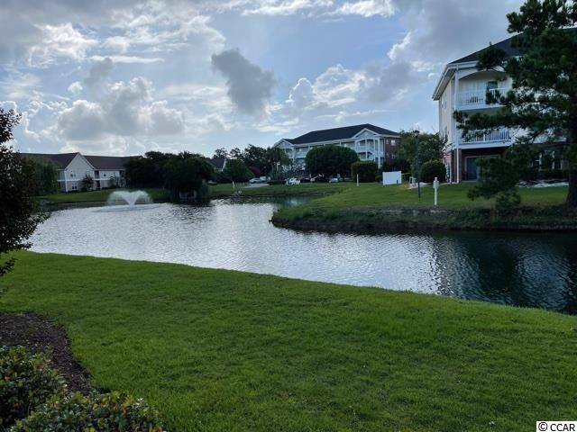 118 Butkus Drive, Unit 4 Myrtle Beach, SC 29588 - Photo 19 of 20