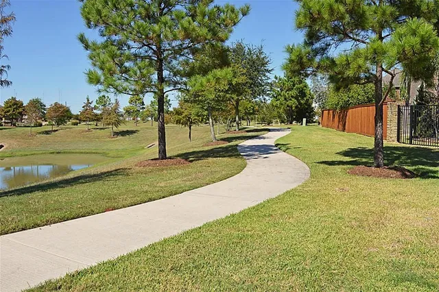a view of a park with large trees