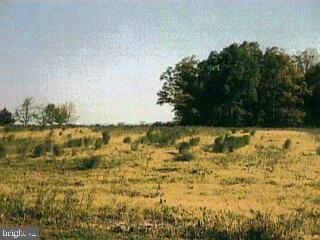 1284 Bon-Ox Road Gettysburg, PA 17325 - Photo 4 of 4