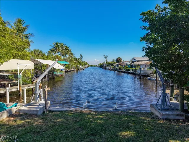 a view of a backyard with plants and a garden