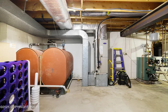 a road view with large trees