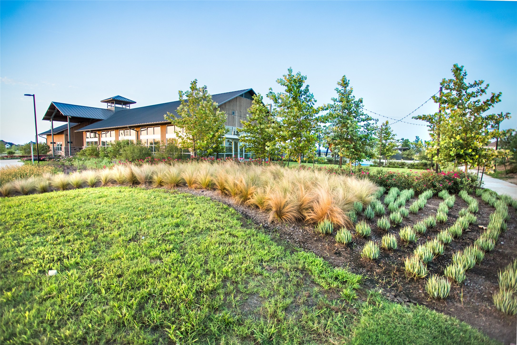 31609 Rosemary Road Fulshear, TX 77423 - Photo 9 of 11 a view of a backyard of the house
