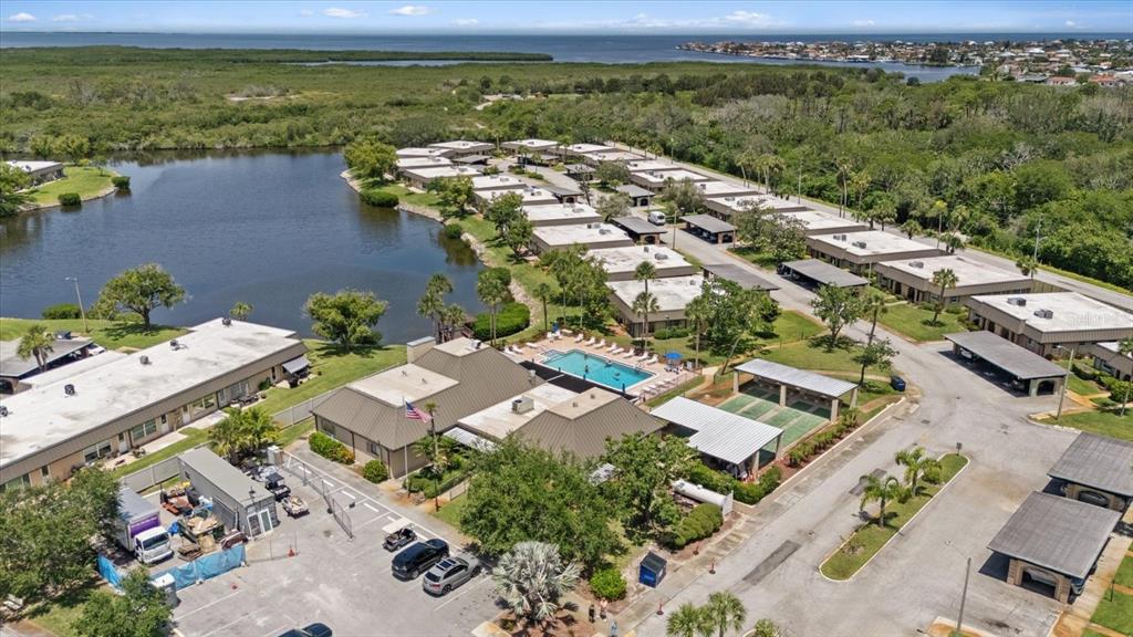 4347 Summersun Drive New Port Richey, FL 34652 - Photo 26 of 43