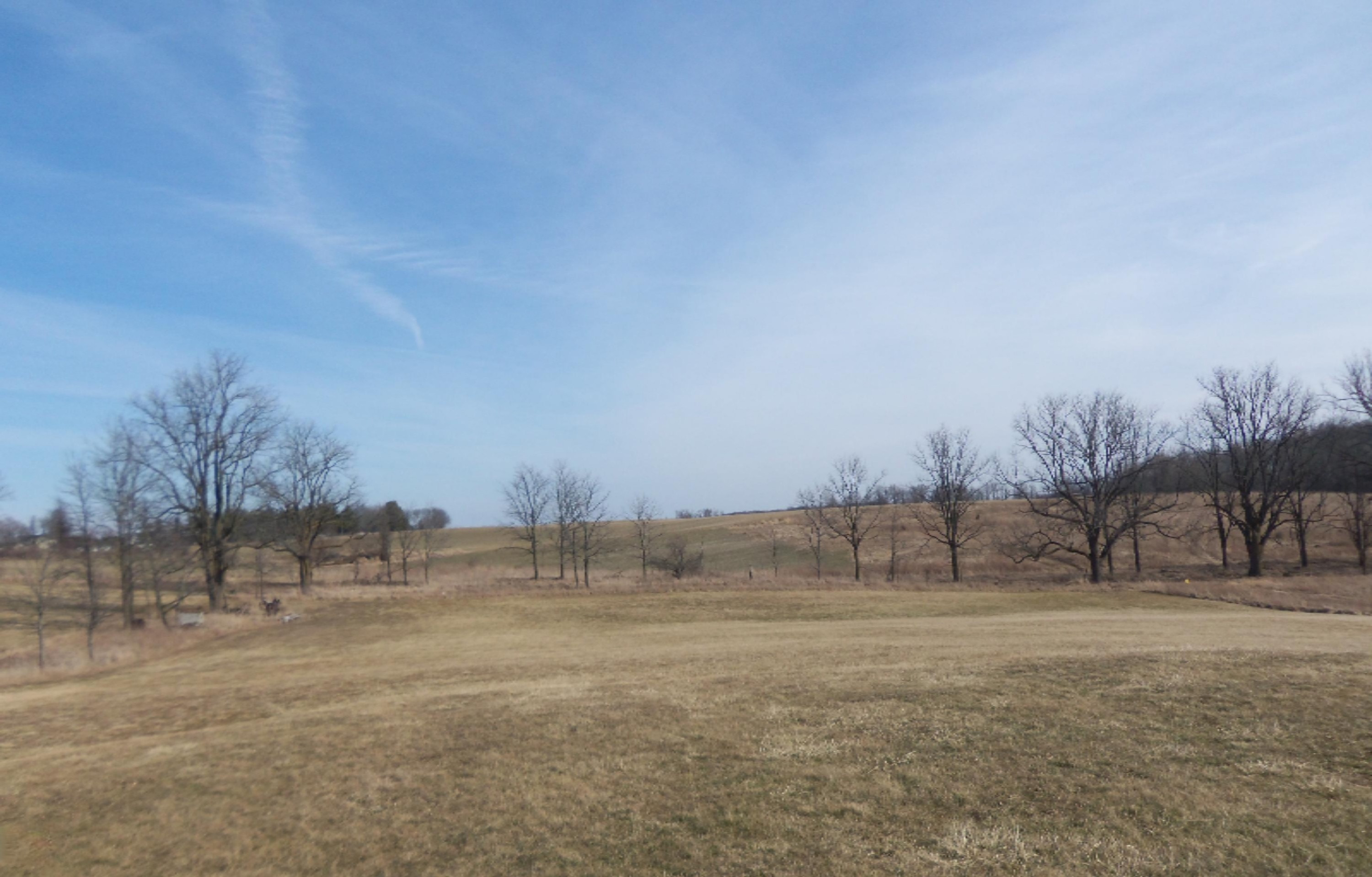 135 South Stine Road Charlotte, MI 48813 - Photo 7 of 7 Back Land