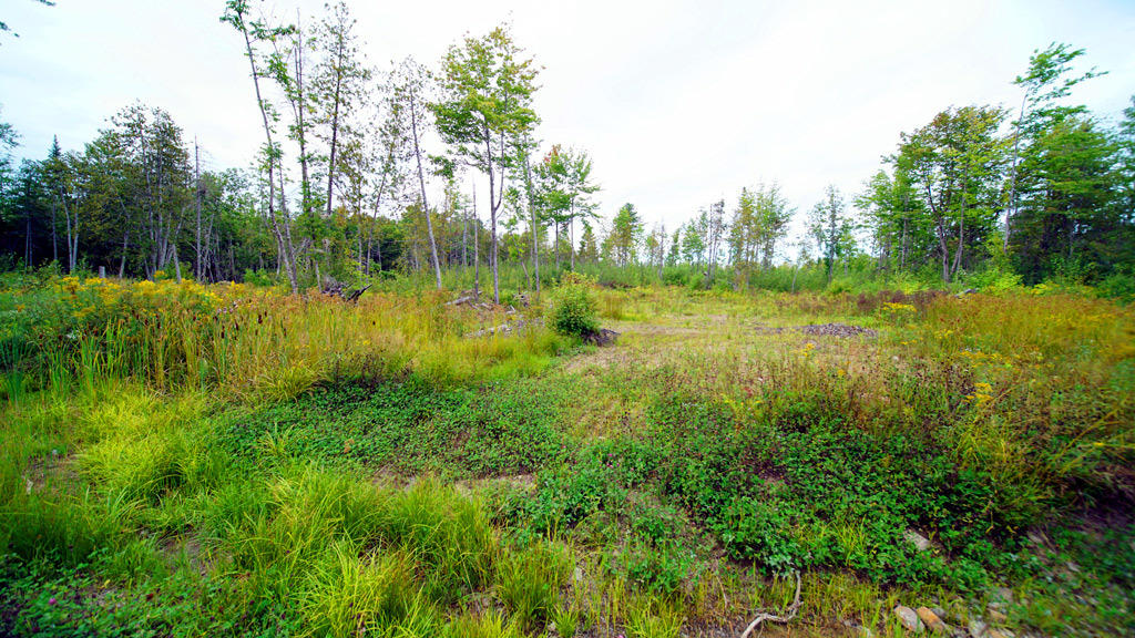 Lot 4 Callaghan Road Houlton, ME 04730 - Photo 10 of 23 davis-callaghan-rd-5