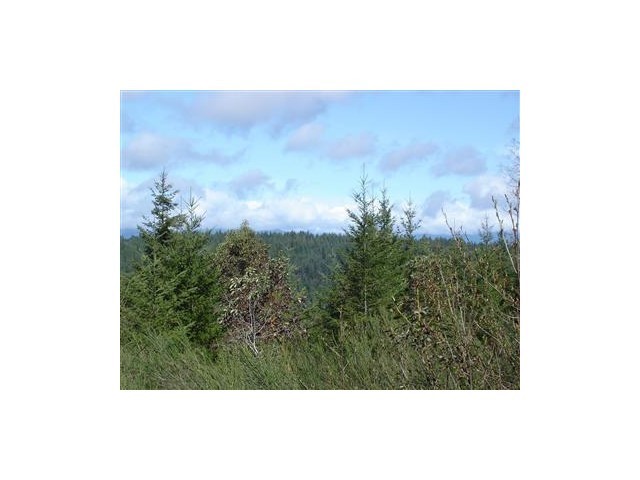 1 Northeast Klahowya Road Belfair, WA 98528 - Photo 1 of 1 Gallery Image 1