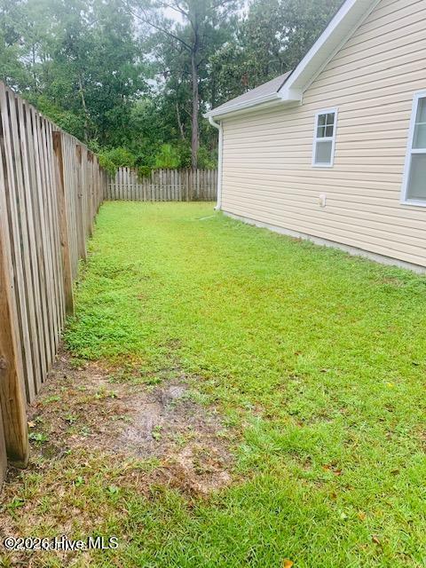 419 Ridgeway Drive Sneads Ferry, NC 28460 - Photo 18 of 19 20230602154151808265000000-o