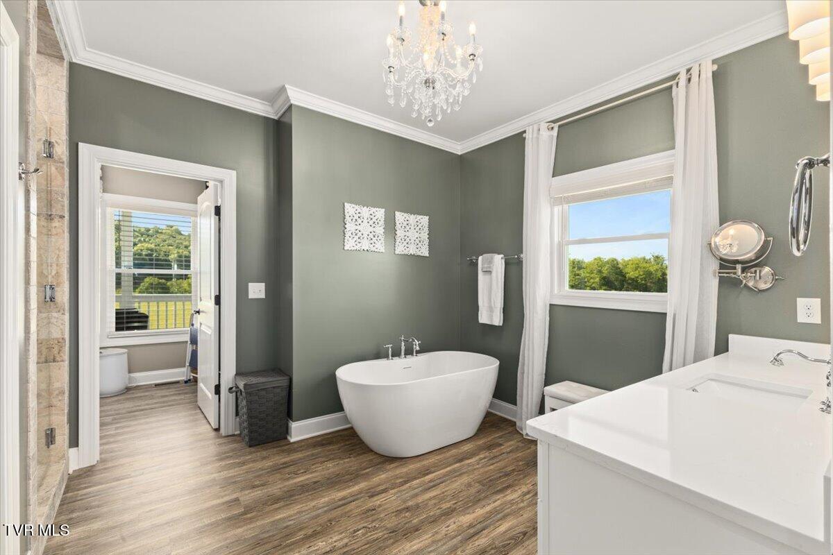 563 Mayberry Road Jonesborough, TN 37659 - Photo 24 of 95 23-128A7562