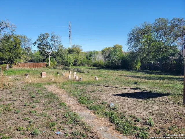 a view of a field with a tree in the background