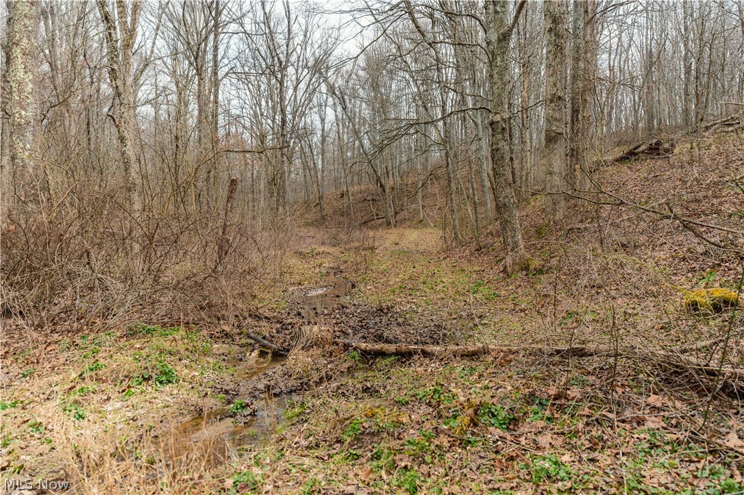 18579 Hobbler Road Kimbolton, OH 43749 - Photo 47 of 49
