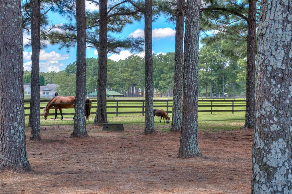 237 Implement Road Aiken, SC 29803 - Photo 37 of 43