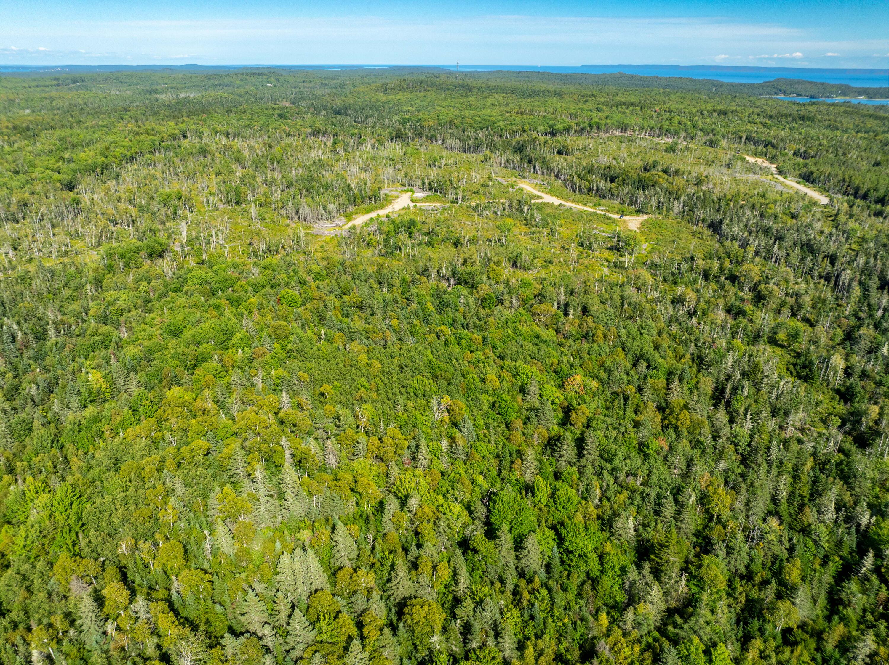 2 Map Lubec, ME 04652 - Photo 64 of 79 530+- acres Trescott Twp Maine (64 of 80