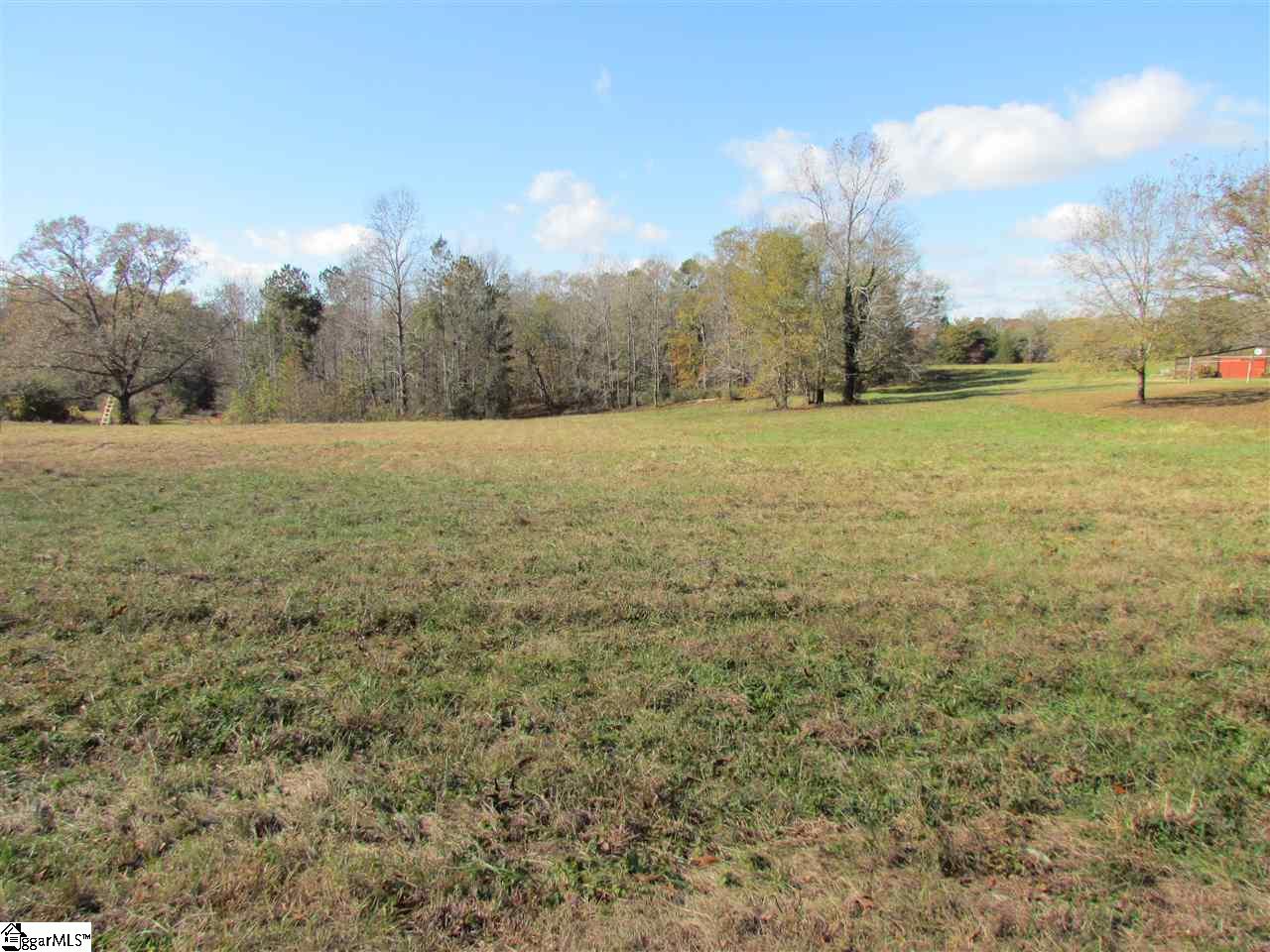 0 Cheek Road Gray Court, SC 29645 - Photo 2 of 11