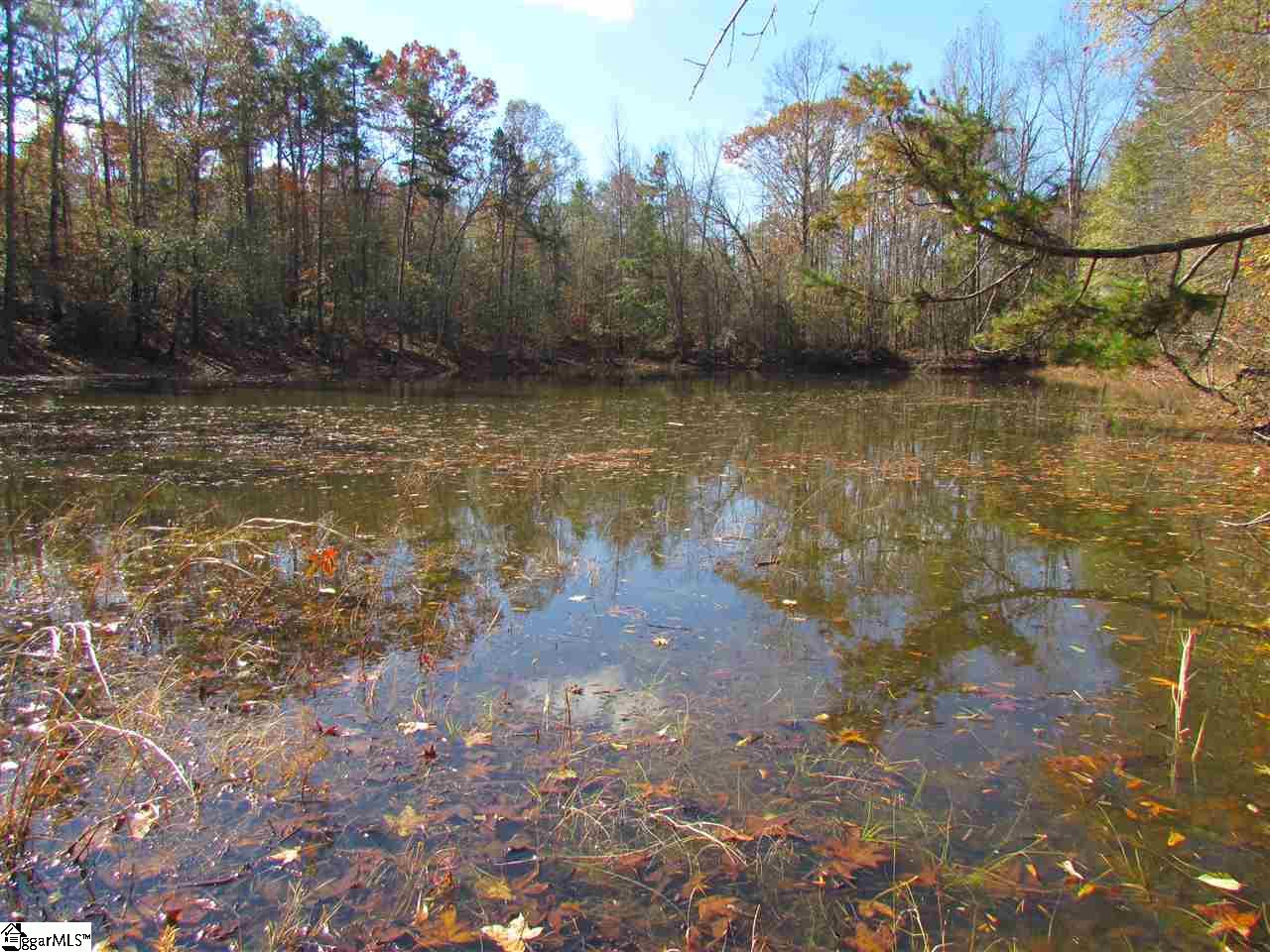 0 Cheek Road Gray Court, SC 29645 - Photo 11 of 11