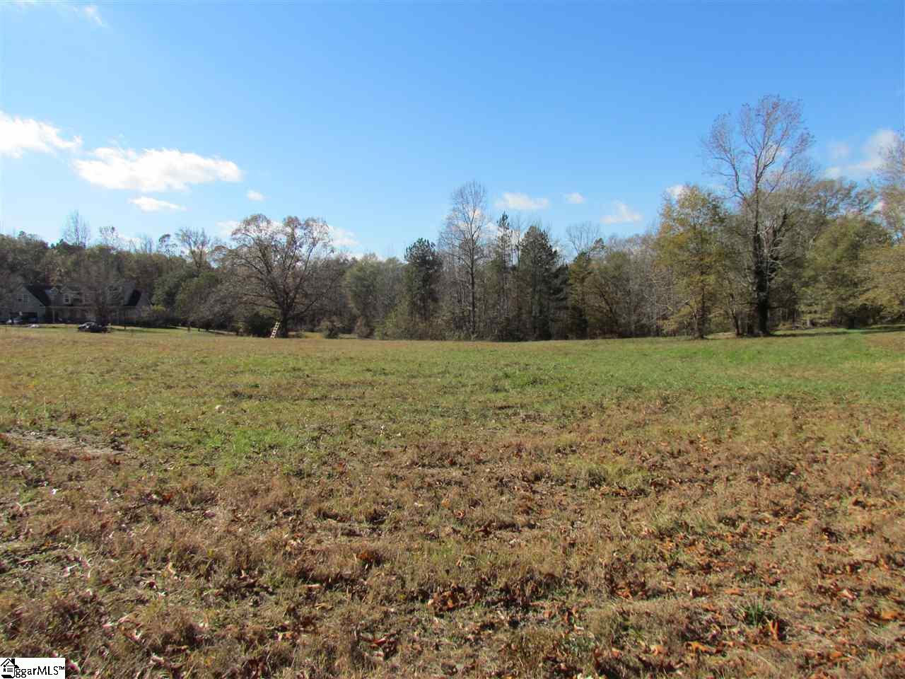 0 Cheek Road Gray Court, SC 29645 - Photo 3 of 11