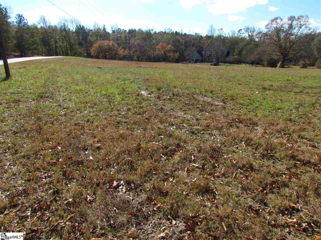 0 Cheek Road Gray Court, SC 29645 - Photo 4 of 11