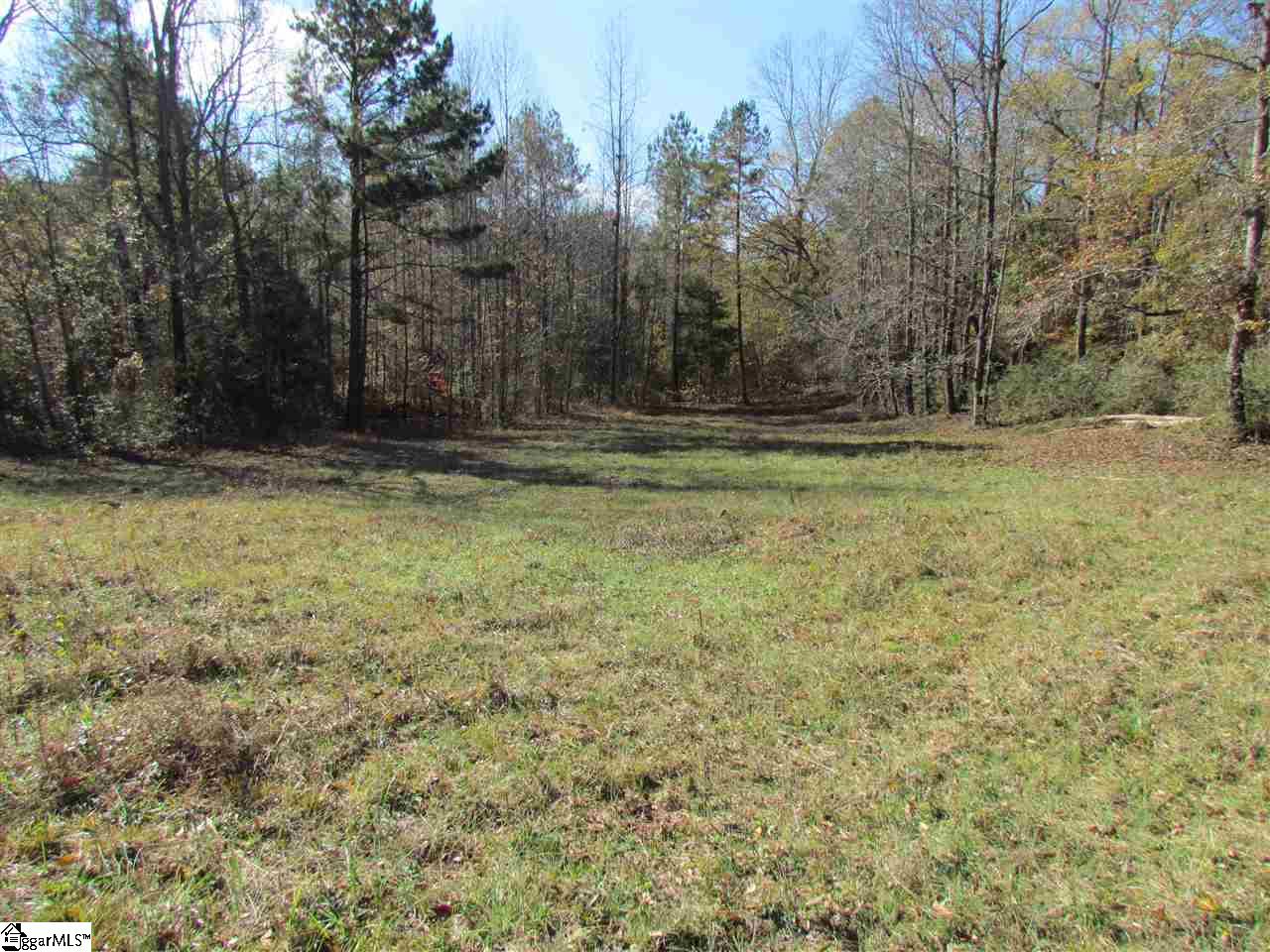 0 Cheek Road Gray Court, SC 29645 - Photo 5 of 11
