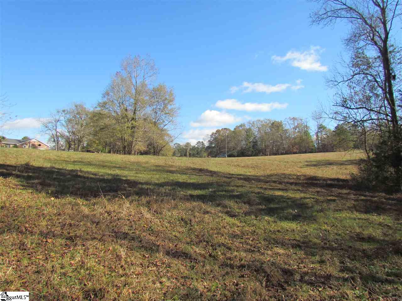 0 Cheek Road Gray Court, SC 29645 - Photo 6 of 11