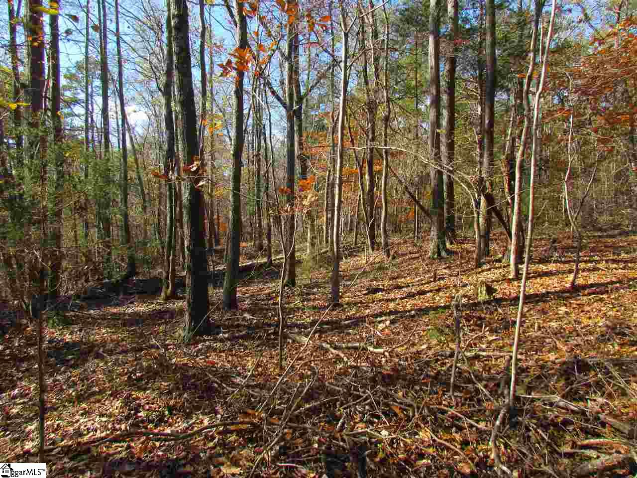 0 Cheek Road Gray Court, SC 29645 - Photo 7 of 11