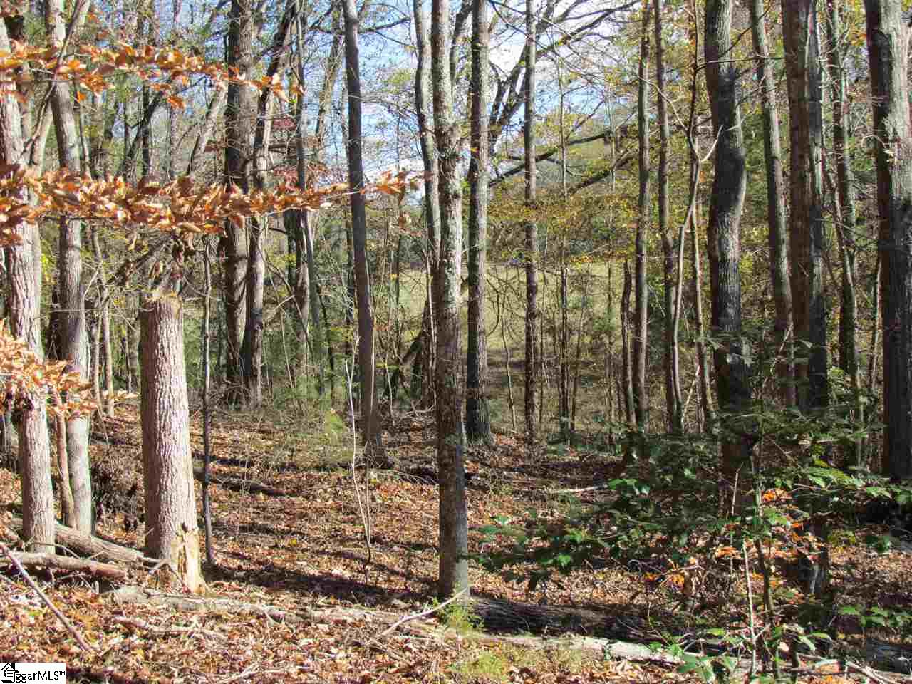 0 Cheek Road Gray Court, SC 29645 - Photo 8 of 11