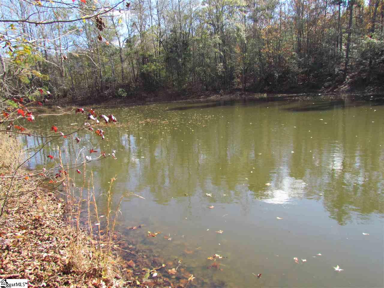 0 Cheek Road Gray Court, SC 29645 - Photo 10 of 11
