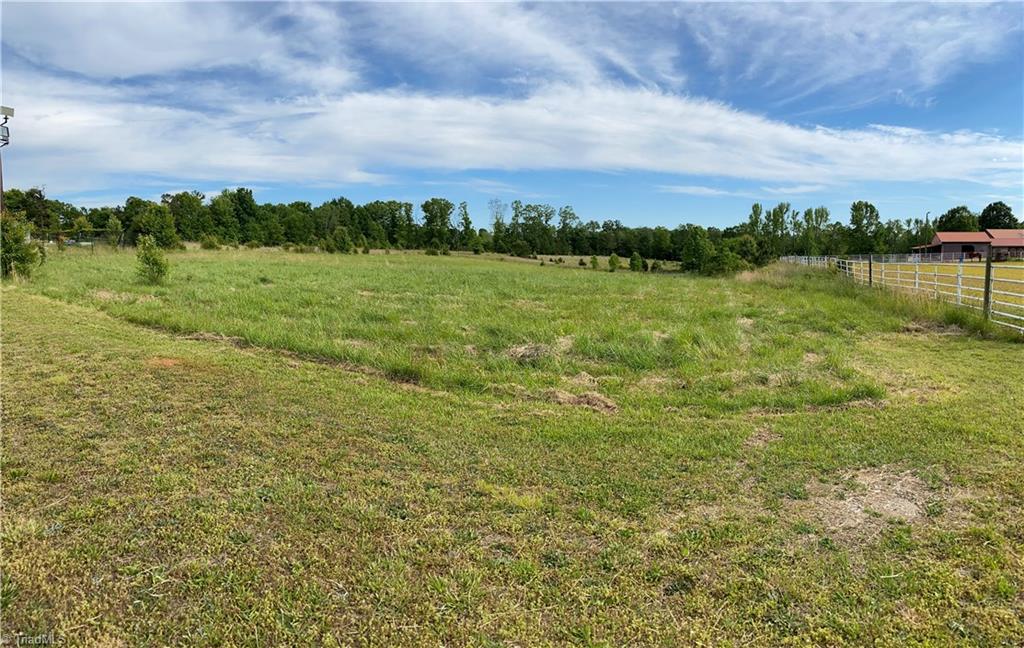 0 Millers Mill Road Trinity, NC 27370 - Photo 1 of 4