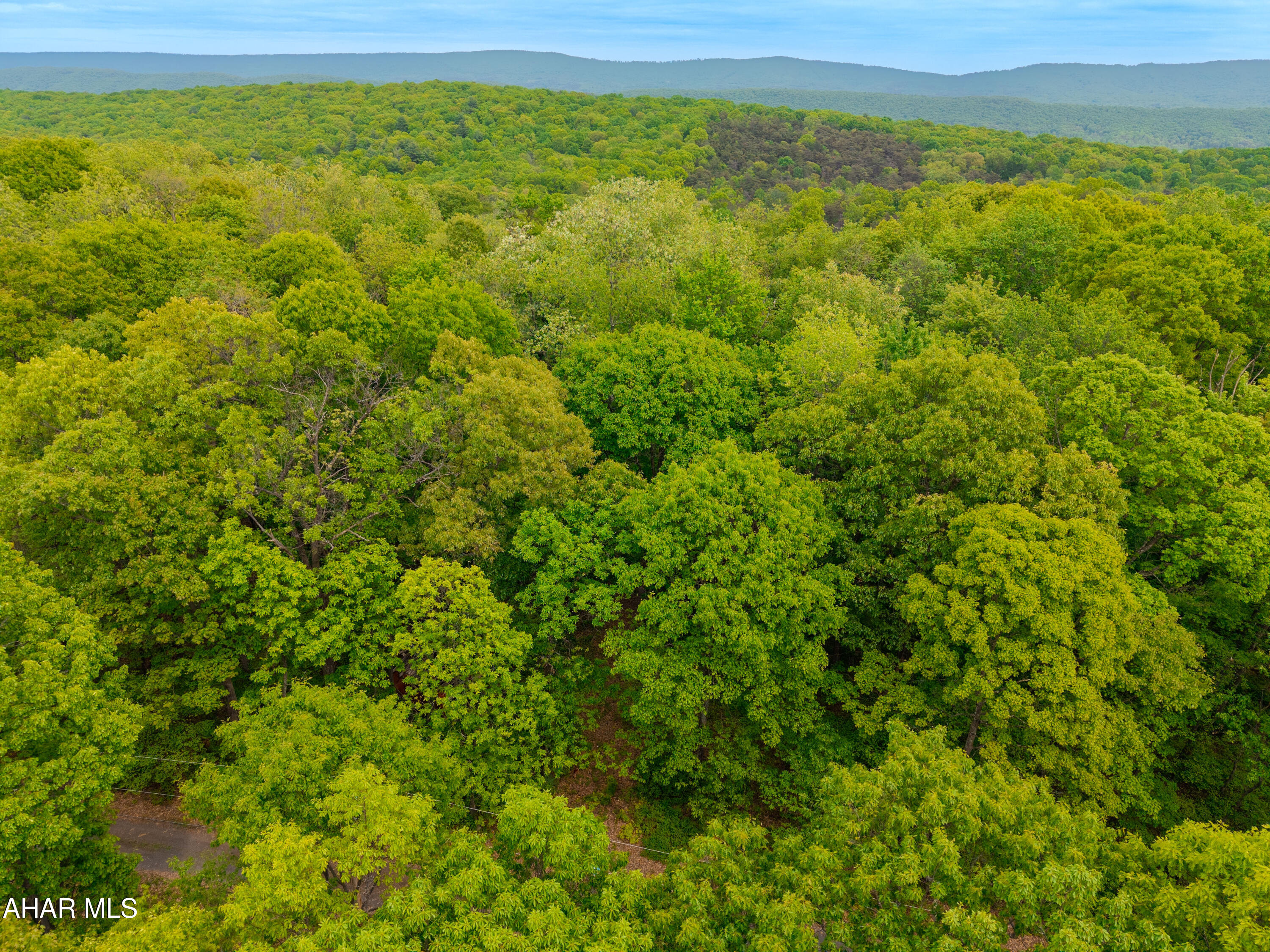 358 Cabin Ridge Lane Clearville, PA 15535 - Photo 9 of 13 a view of a lush green forest with trees and some houses