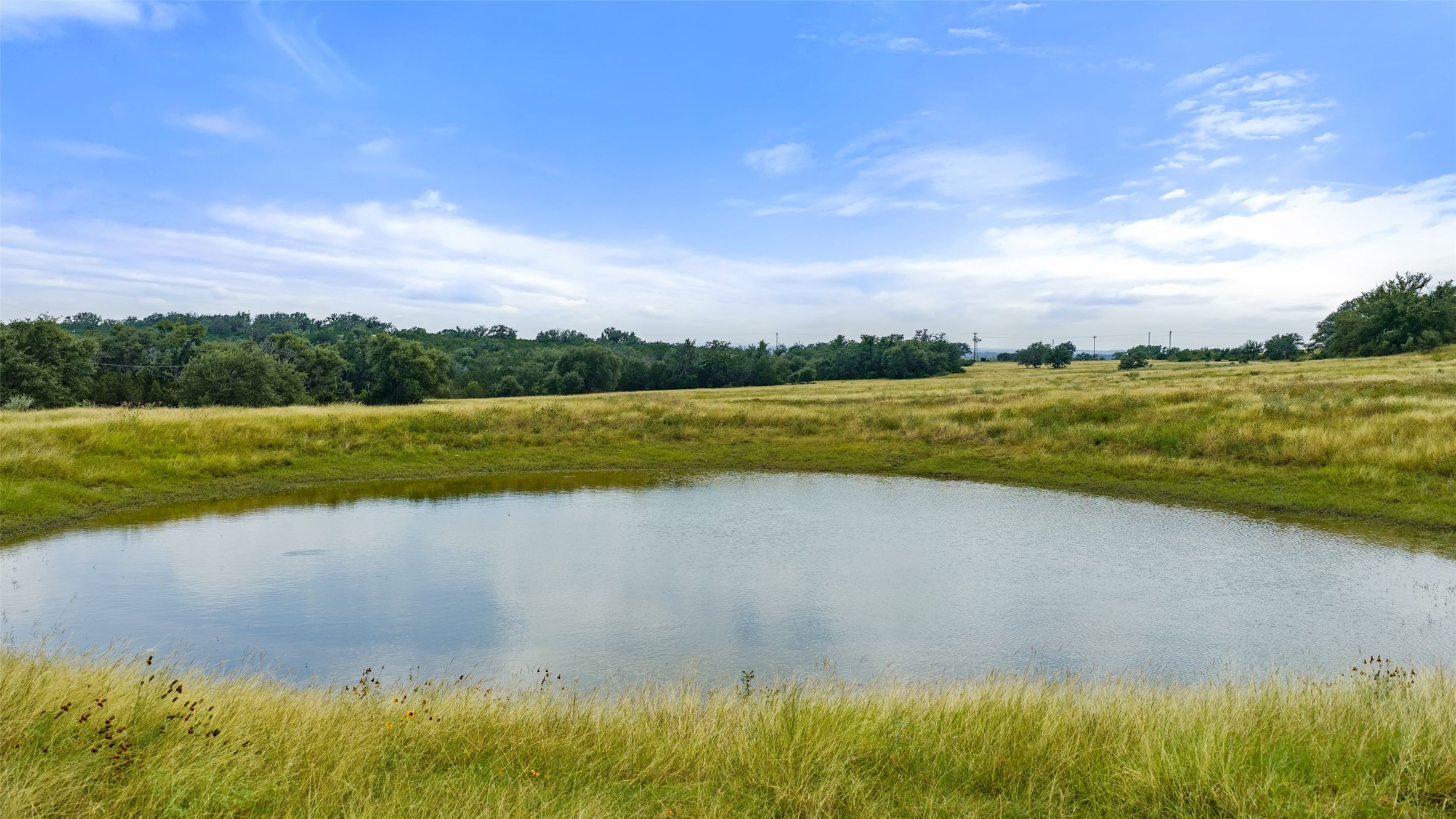 8400 Ranch Road 1431 Marble Falls, TX 78654 - Photo 20 of 30 A tranquil pond nestles amidst verdant pastures, framed by distant woodlands.