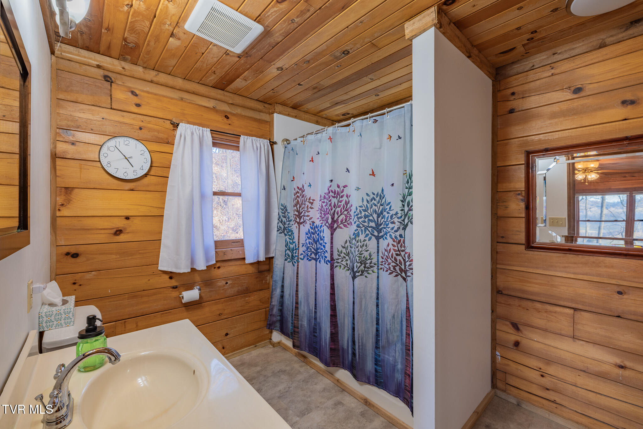 11766 Rocky Hill Road Bristol, VA 24202 - Photo 22 of 55 1R9A2325-HDR