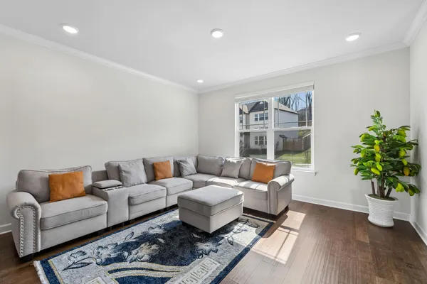 a living room with furniture or wooden floor and a potted plant