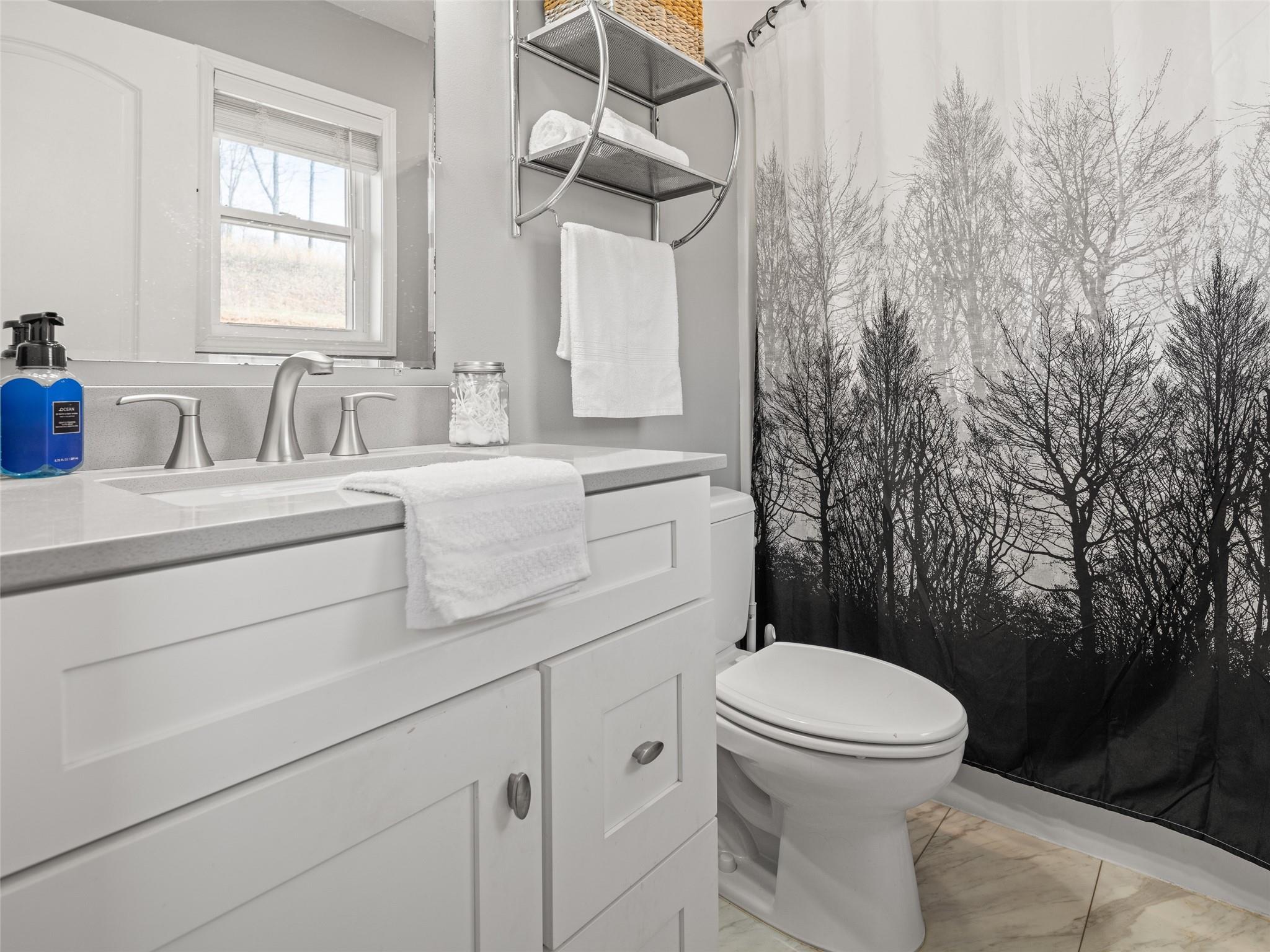 150 Barefoot Ridge Clyde, NC 28721 - Photo 9 of 27 a bathroom with a toilet sink and mirror
