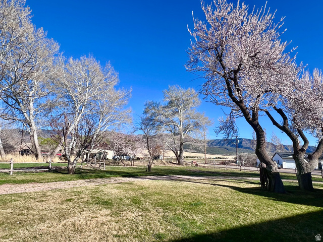 479 East 100 N Road Meadow, UT 84644 - Photo 43 of 59 View of green lawn featuring a mountain view